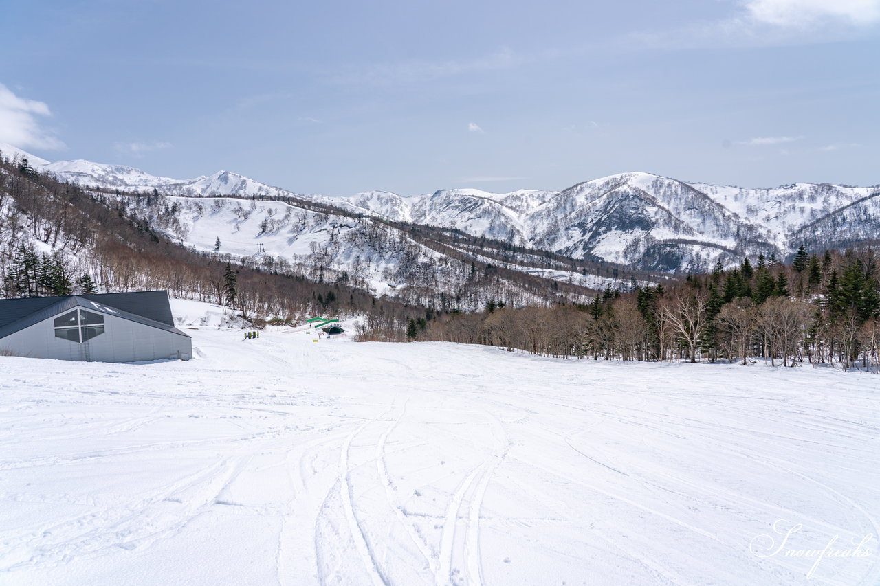 キロロリゾート　本当に明日でシーズン終わり？！まだまだ積雪豊富なキロロでGW春スキーを満喫(*^^*)